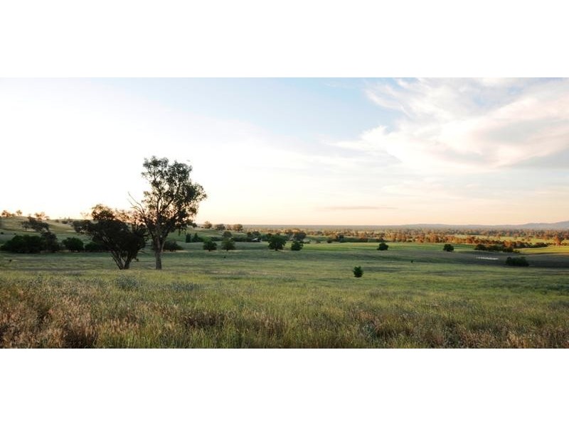 537 Plunketts Road, Wodonga VIC 3690