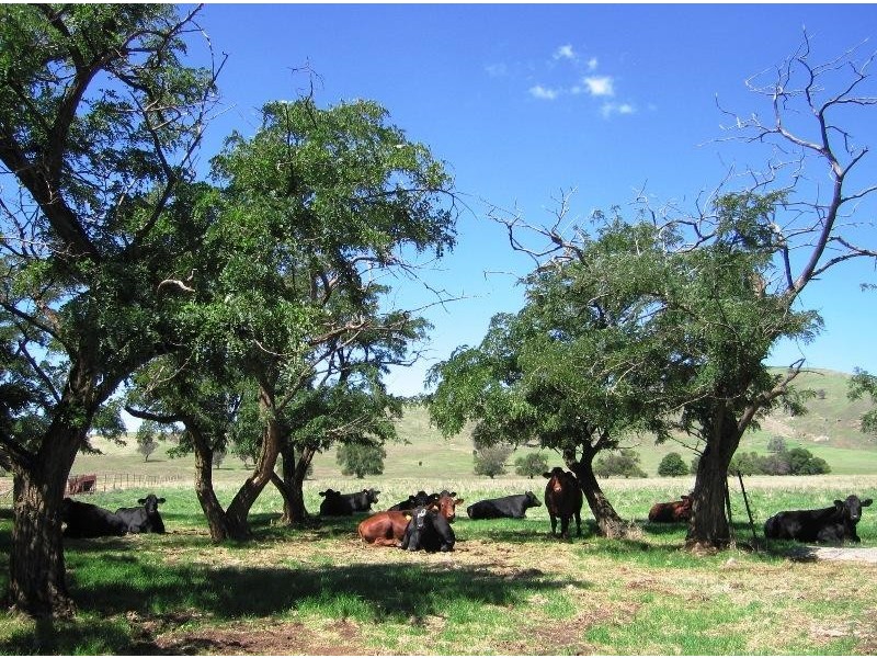 537 Plunketts Road, Wodonga VIC 3690