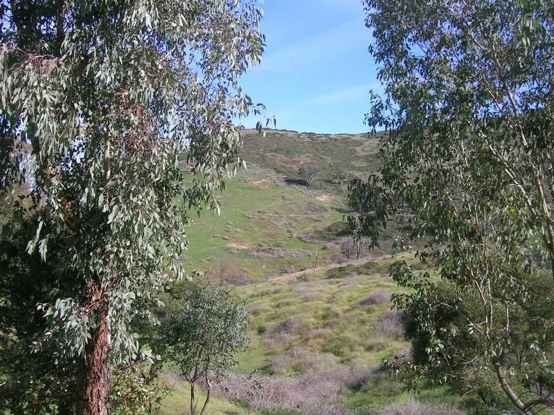 Burrowye VIC 3709