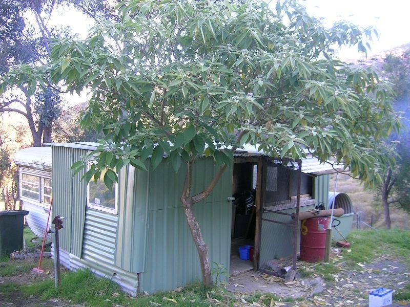 Burrowye VIC 3709