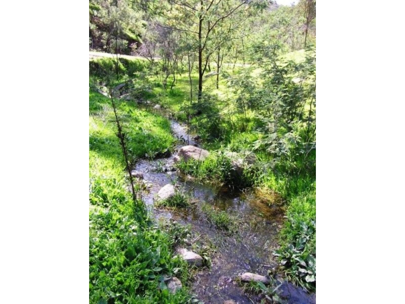 555 Wises Creek Road, Talgarno VIC 3691