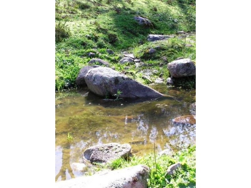 555 Wises Creek Road, Talgarno VIC 3691