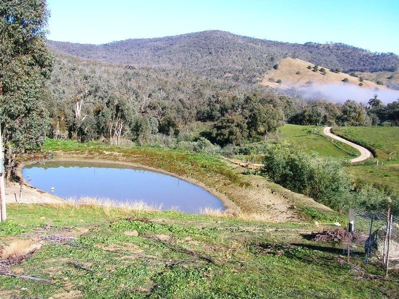 555 Wises Creek Road, Talgarno VIC 3691