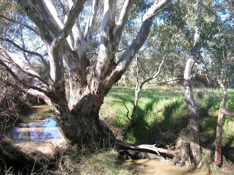 437 Soldiers Road, Barnawartha VIC 3688