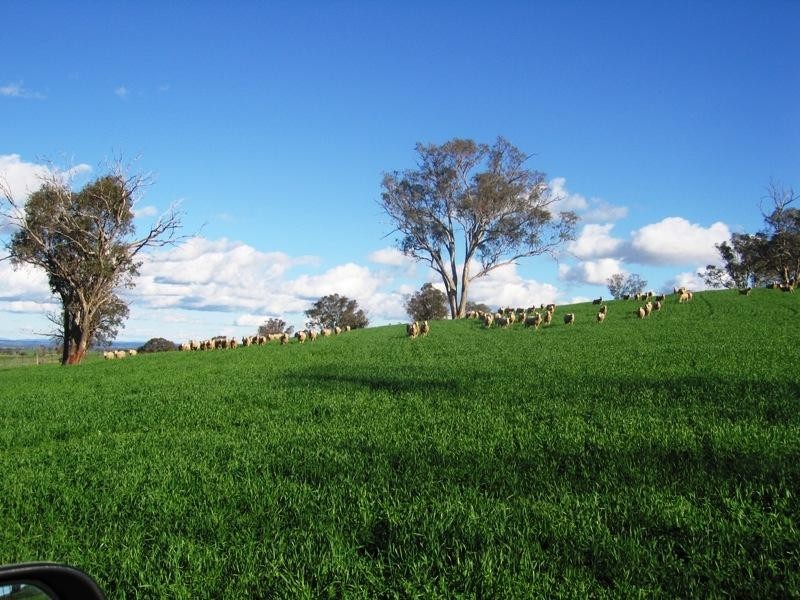 118 Mullemblah Road, Walbundrie NSW 2642