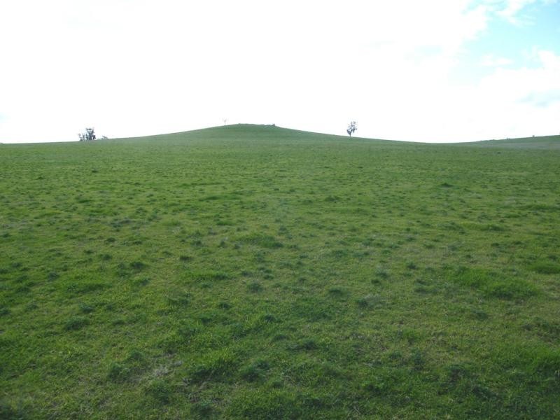 118 Mullemblah Road, Walbundrie NSW 2642