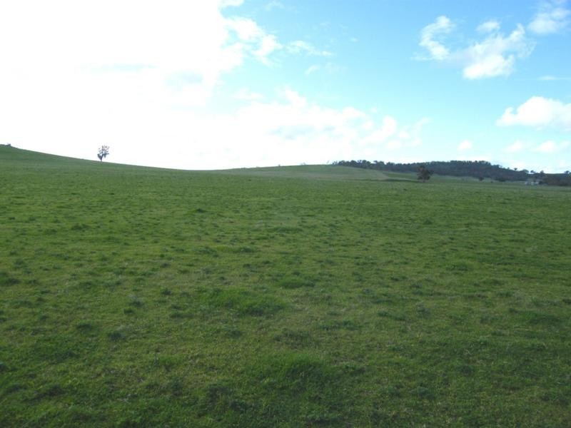 118 Mullemblah Road, Walbundrie NSW 2642