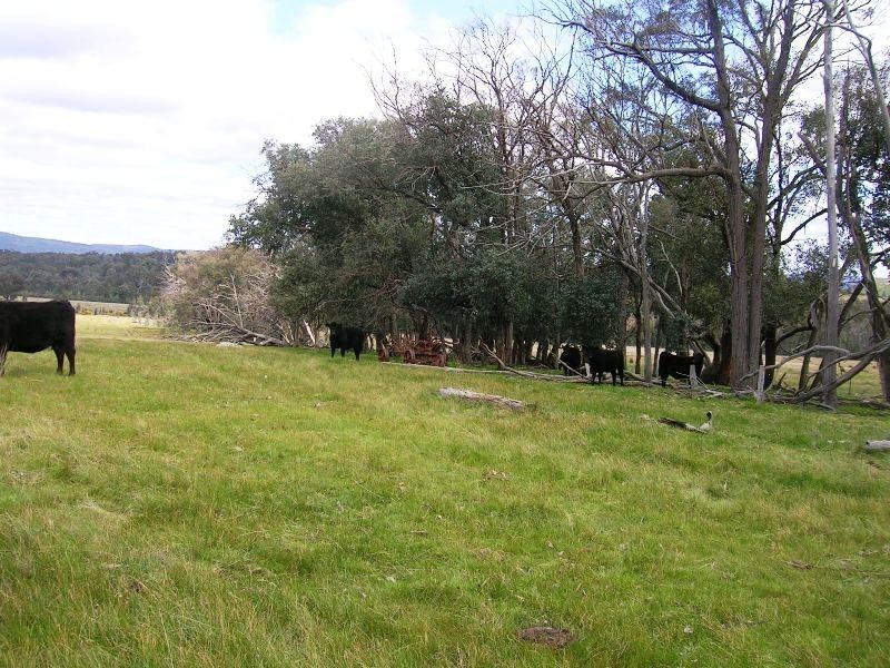 Lot 10 Jessies Lane, Indigo Valley VIC 3688