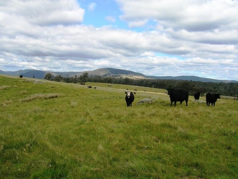 Lot 10 Jessies Lane, Indigo Valley VIC 3688