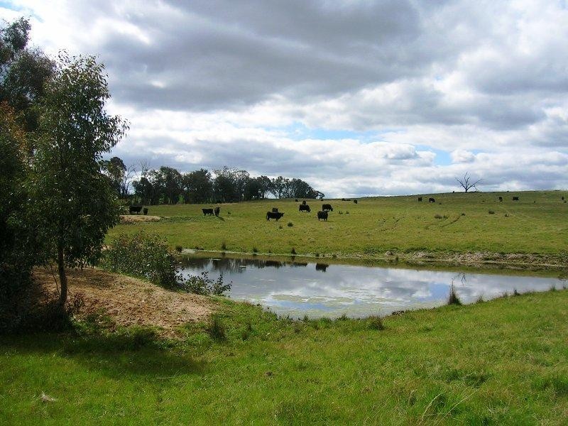 Lot 10 Jessies Lane, Indigo Valley VIC 3688