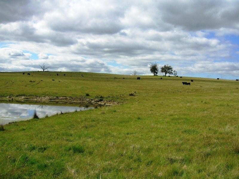 Lot 10 Jessies Lane, Indigo Valley VIC 3688