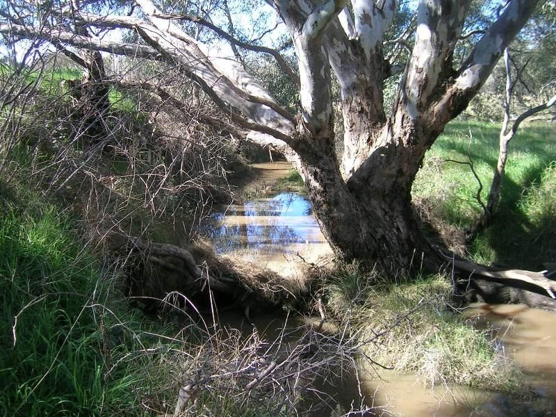 Lot 3/437 Soldiers Road, Barnawartha VIC 3688