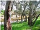 Lot 4 Kindra Street, Rand NSW 2642