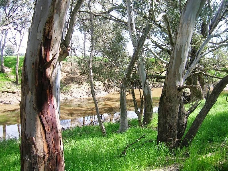 Lot 4 Kindra Street, Rand NSW 2642