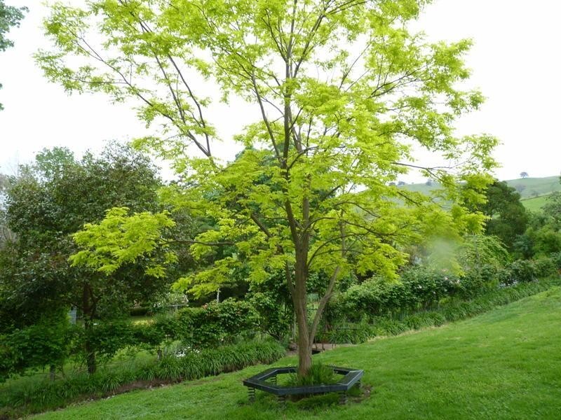 102 Martins Road, Bethanga VIC 3691