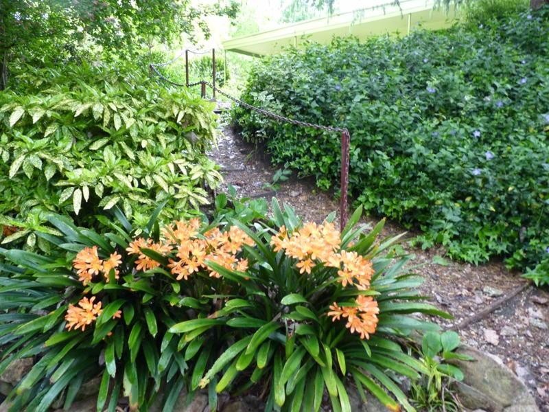 102 Martins Road, Bethanga VIC 3691