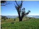 Bowna NSW 2644