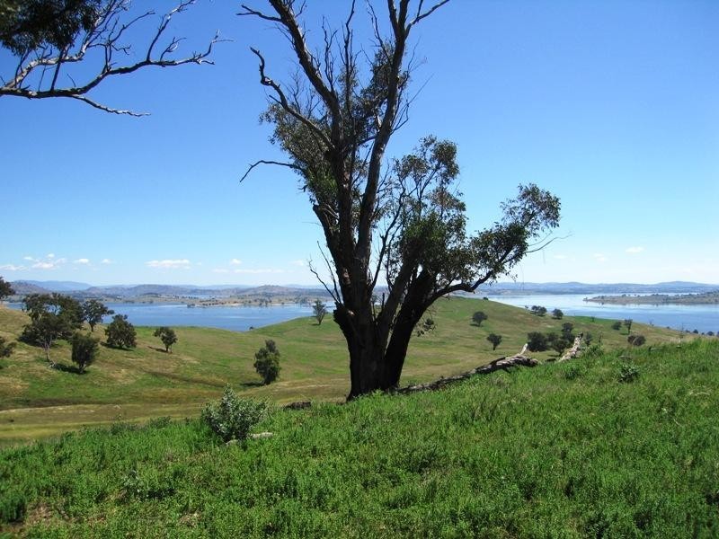 Bowna NSW 2644