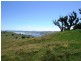 Bowna NSW 2644