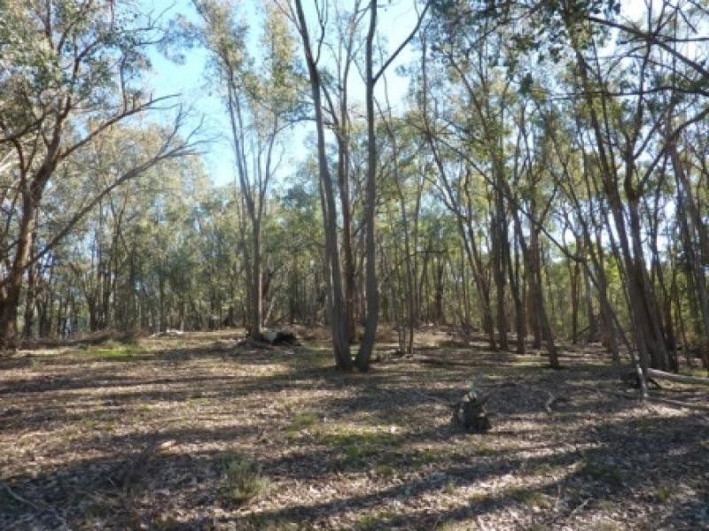 260 Maloneys Road, Greta West VIC 3675