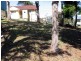 Copacabana NSW 2251