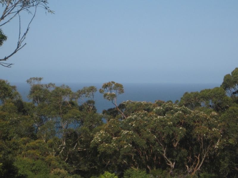 Macmasters Beach NSW 2251