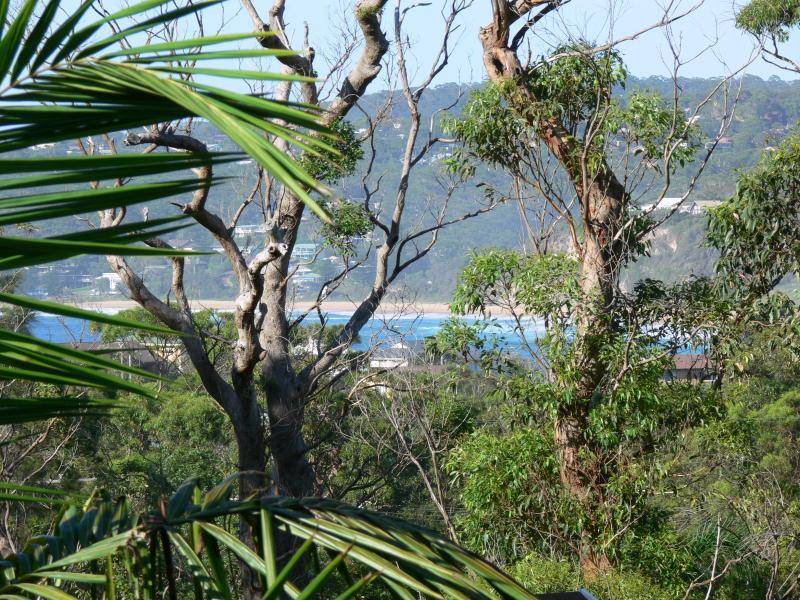 Copacabana NSW 2251