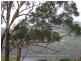 Macmasters Beach NSW 2251