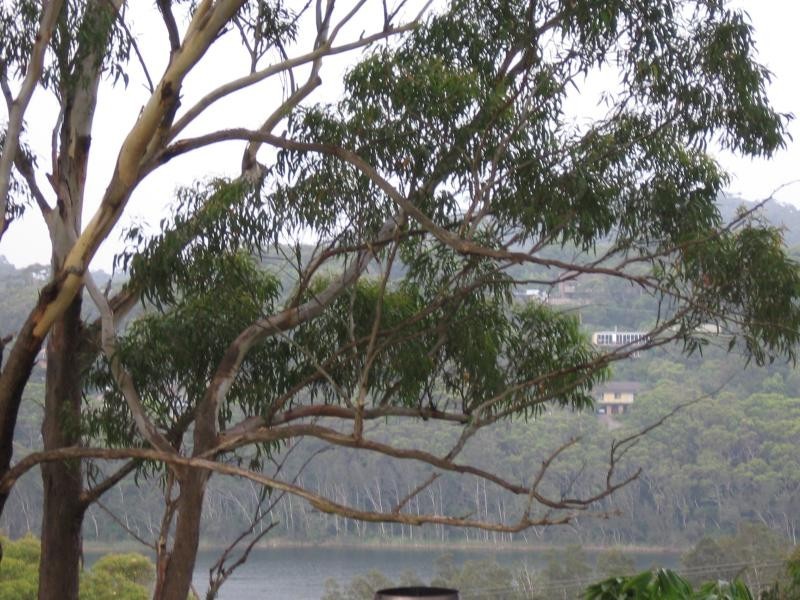 Macmasters Beach NSW 2251