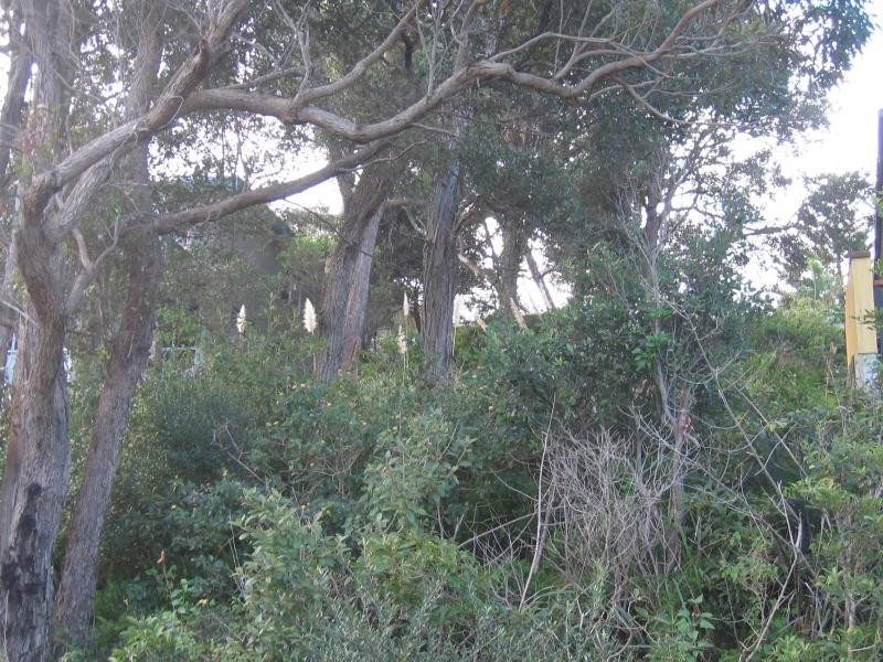 Copacabana NSW 2251
