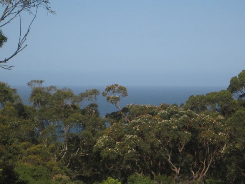 Macmasters Beach NSW 2251