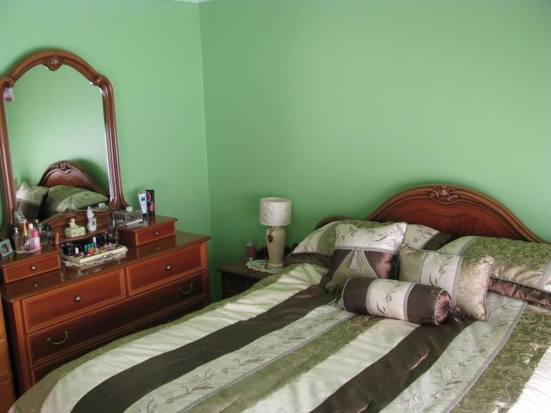 52 Buckwell drive, Hassall Grove NSW 2761