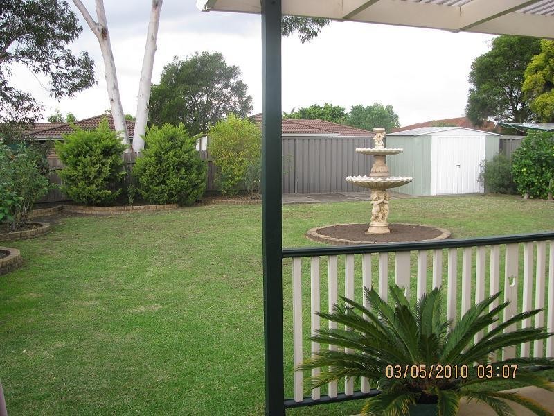 50 Buckwell Drive, Hassall Grove NSW 2761