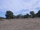 . KALANGADOO HOUSE ROAD &AMP; CNR GRANEYS LANE &AMP; OLD PENOLA KALANGADOO ROADS, Kalangadoo SA 5278