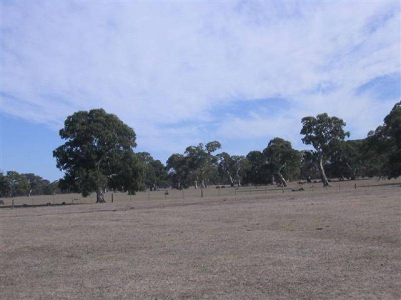 . KALANGADOO HOUSE ROAD &AMP; CNR GRANEYS LANE &AMP; OLD PENOLA KALANGADOO ROADS, Kalangadoo SA 5278