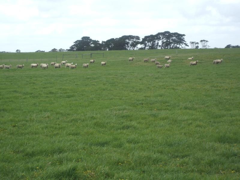 . HAY TERRACE, Kongorong SA 5291