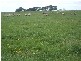 . HAY TERRACE, Kongorong SA 5291