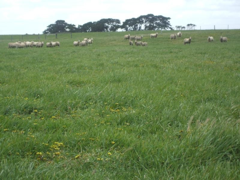 . HAY TERRACE, Kongorong SA 5291