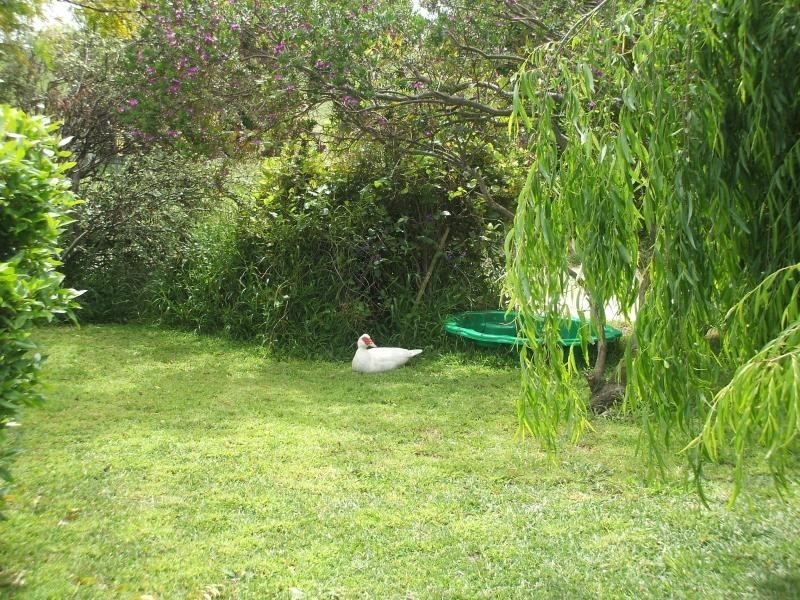 . HAY TERRACE, Kongorong SA 5291
