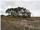 CANUNDA FRONTAGE ROAD, Millicent SA 5280