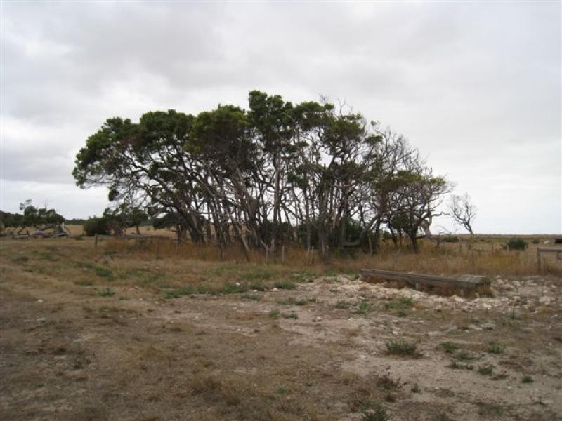 CANUNDA FRONTAGE ROAD, Millicent SA 5280