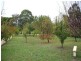 8 Railway Terrace, Kalangadoo SA 5278