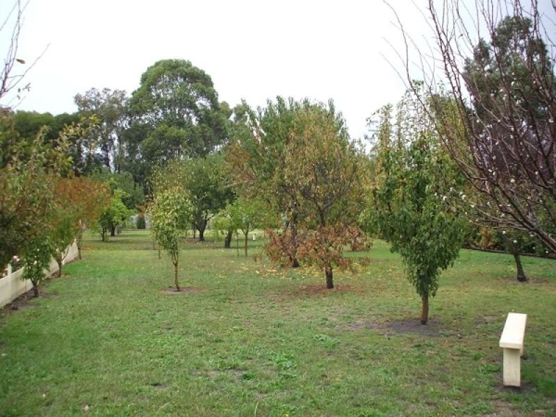 8 Railway Terrace, Kalangadoo SA 5278