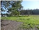 Lot 182/ Thomas Drive, Mount Burr SA 5279