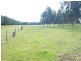 Section 759 Old Mill Road, Carpenter Rocks SA 5291