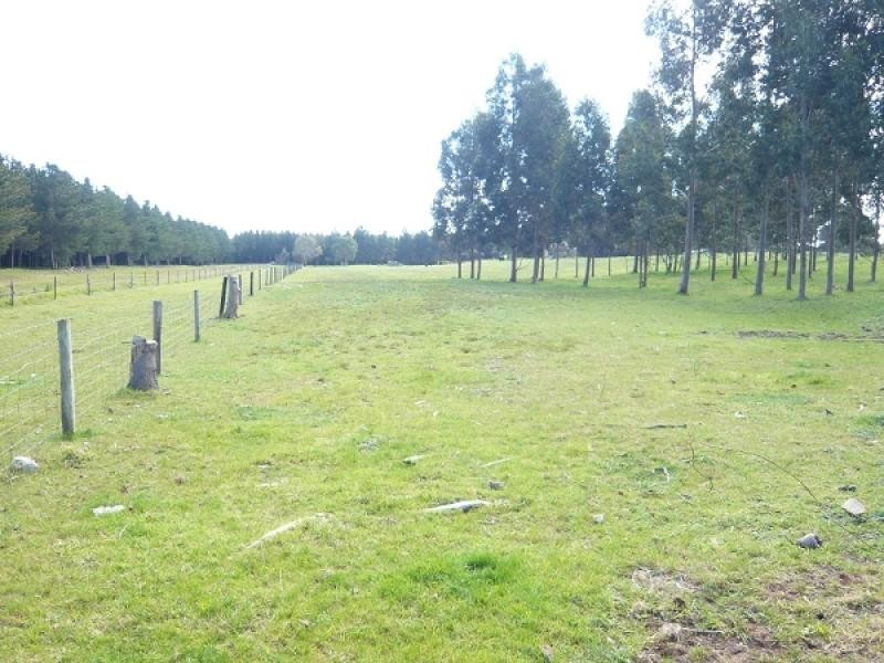 Section 759 Old Mill Road, Carpenter Rocks SA 5291