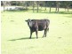 Section 759 Old Mill Road, Carpenter Rocks SA 5291