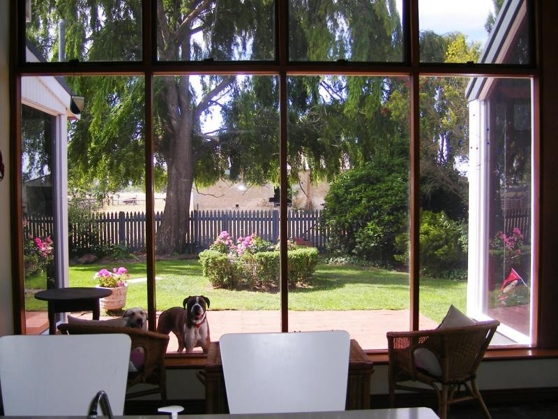 Lot 48 Yahl Main Road, Yahl SA 5291