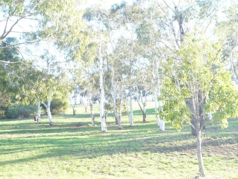 5 Naylor Place, Mount Gambier SA 5290