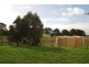Lot 18 Woolshed Road Glencoe, Mount Gambier SA 5290